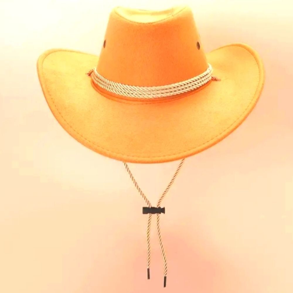 Vintage western style outdoor cowboy hat